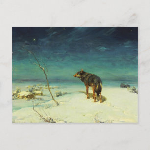 Carte Postale Loup solitaire Samotny Wilk