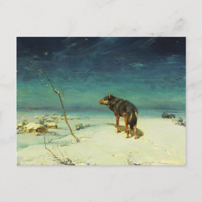 Carte Postale Loup solitaire Samotny Wilk (Devant)