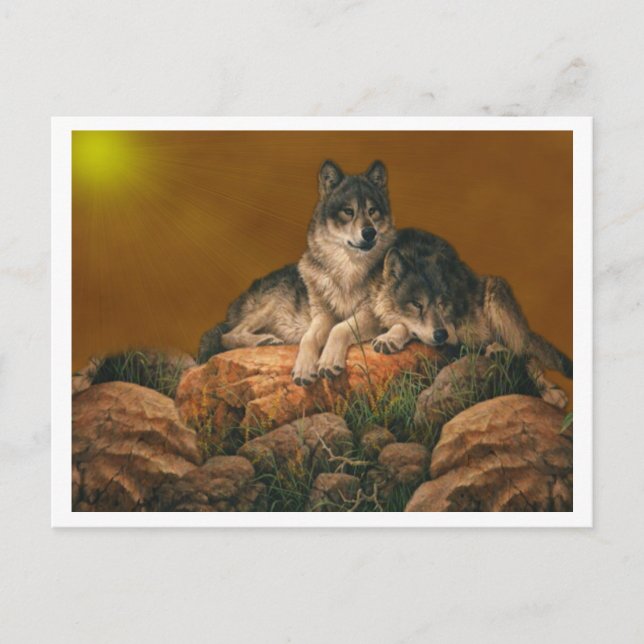 Carte postale Loups (Devant)