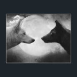 Carte Postale Loups<br><div class="desc">Loup noir et blanc</div>