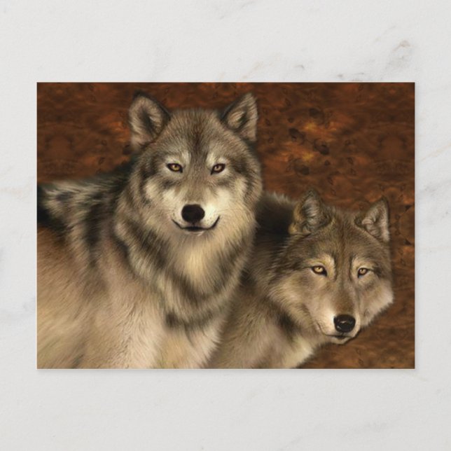 Carte postale Loups (Devant)