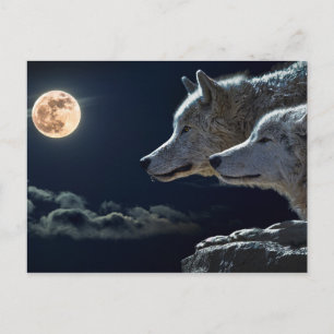 Carte Postale Loups hurlant à la Pleine lune de nuit