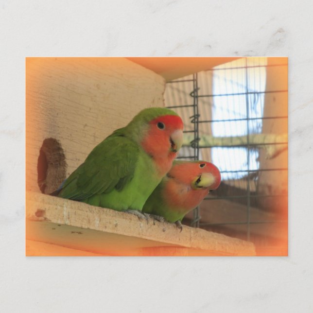 Carte postale Love (Devant)