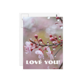 Carte postale Love