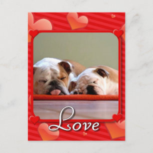 Carte postale Love Bulldogs