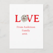 Love holidays cat photo pet family name bold lette
