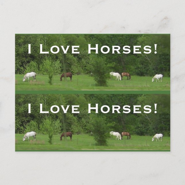 Carte Postale Love Horses ! Bookmarkers - Personnaliser ! (Devant)