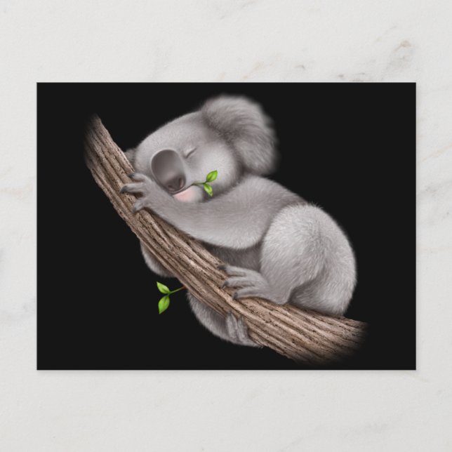 Carte Postale Love Koala Bears (Devant)