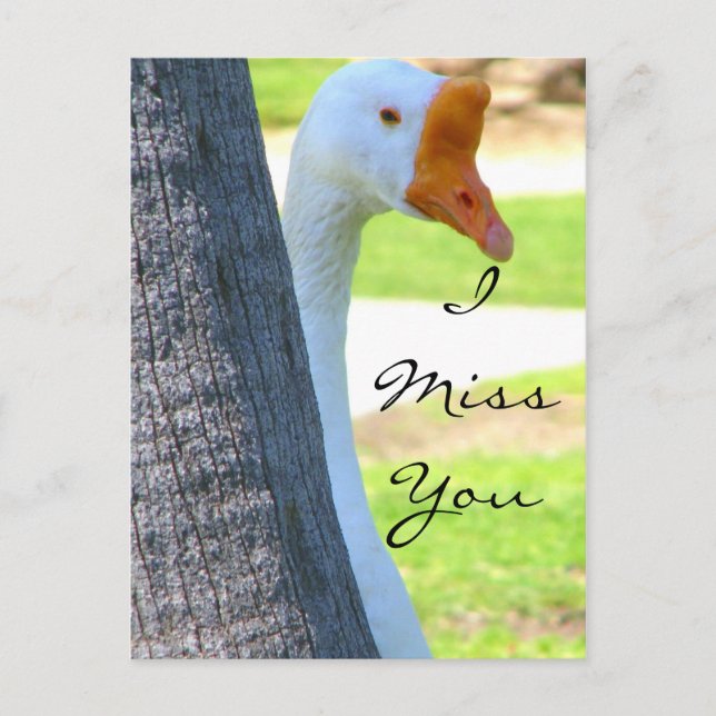 Carte postale Love/N'importe quelle occasion (Devant)