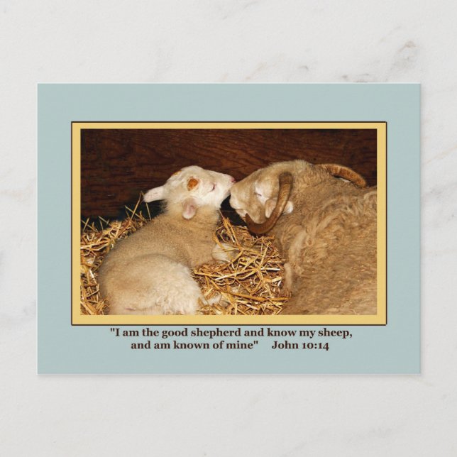 Carte postale LOVE & PEACE (Devant)