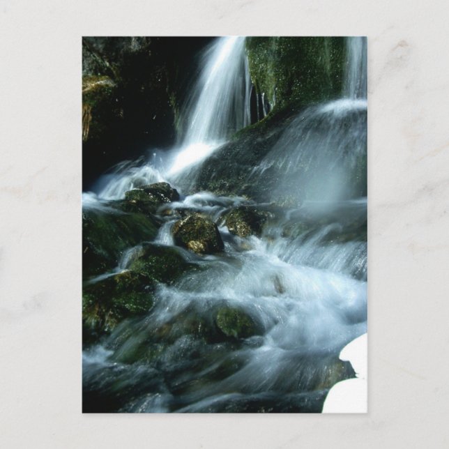 CARTE POSTALE LOVE SONG (Devant)