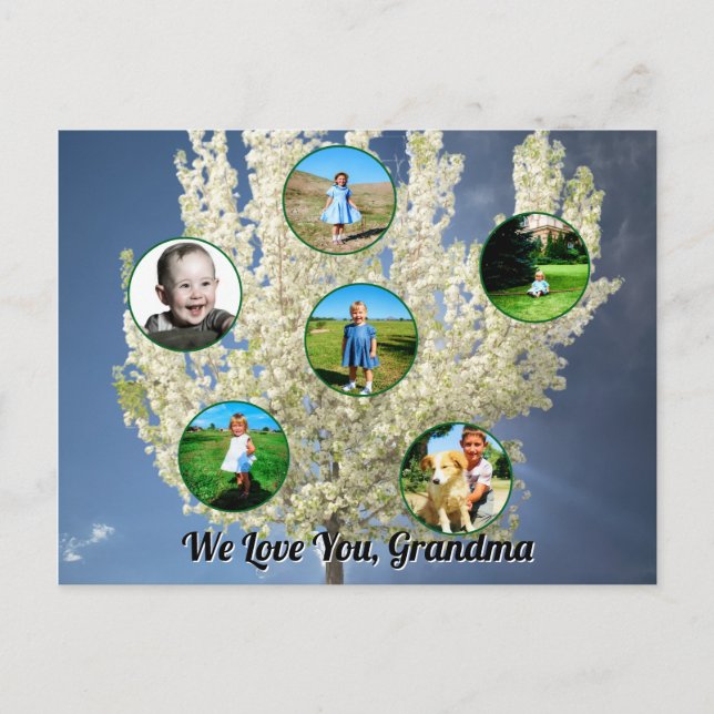 Carte Postale Love You Grandma White Blossoming Tree Six Photos  (Devant)