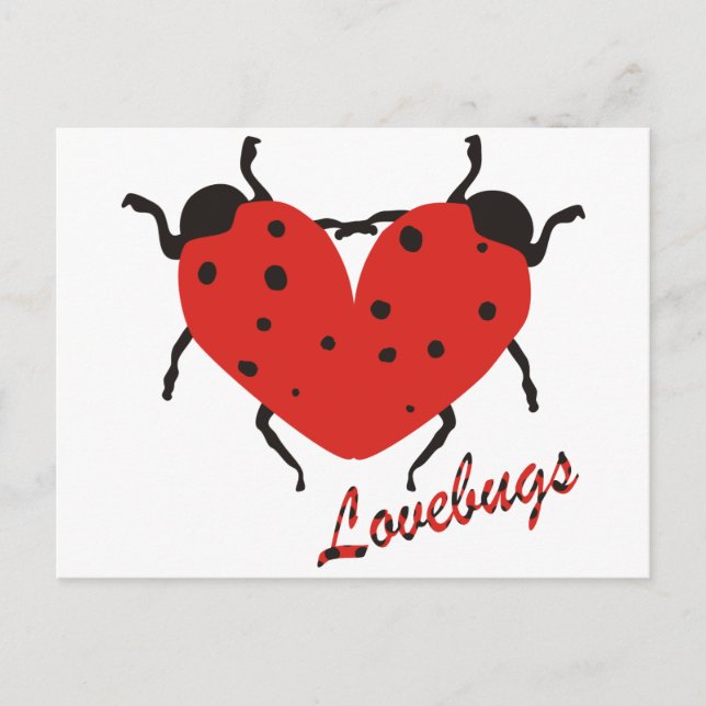 Carte Postale Lovebugs (Devant)