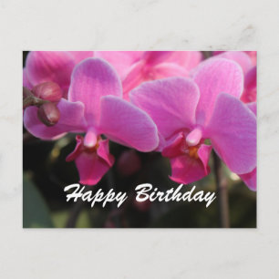Carte Postale Lovely pink orchid flowers. Birthday wishes