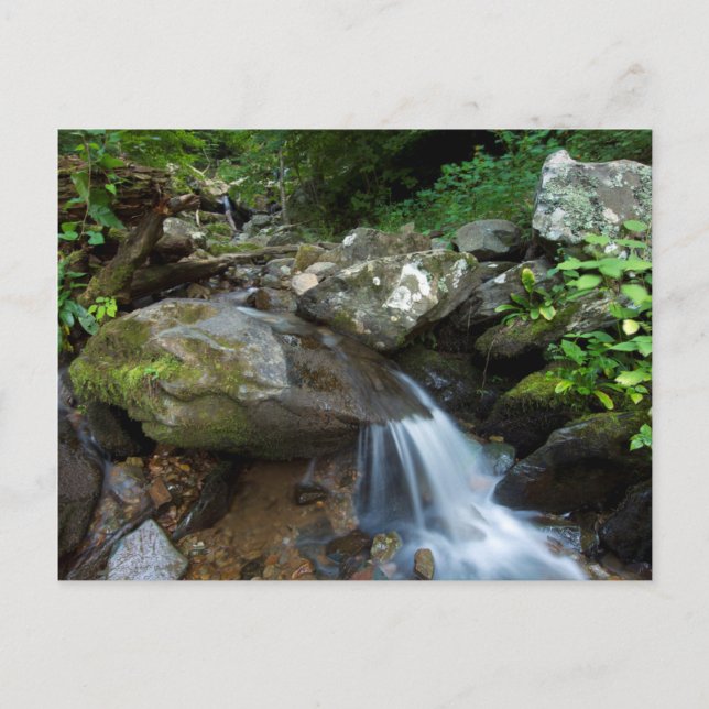 Carte Postale Lower Dark Hollow Falls, Shenandoah (Devant)