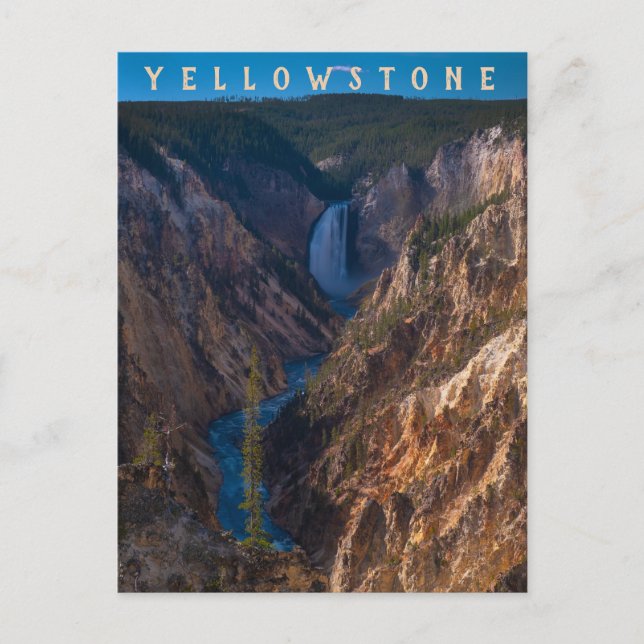 Carte Postale Lower Falls Grand Canyon du Yellowstone (Devant)