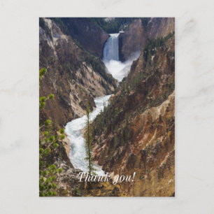 Carte Postale Lower Falls Yellowstone
