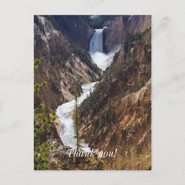 Carte Postale Lower Falls Yellowstone (Devant)