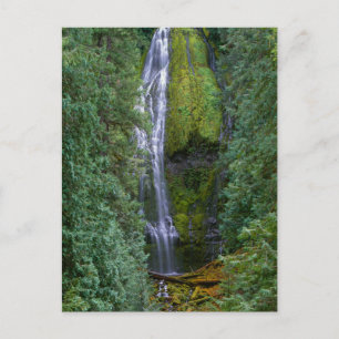 Carte Postale Lower Proxy Falls Forêt nationale de Willamette