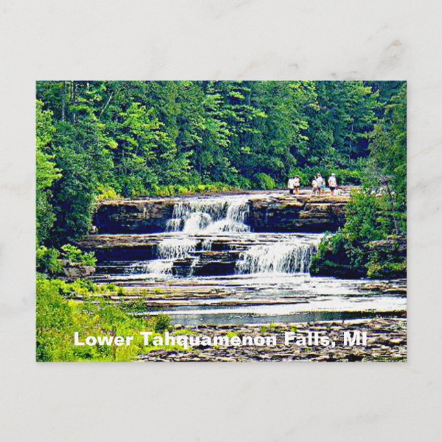 Carte Postale Lower Tahquamenon Falls State Park, Michigan (Devant)