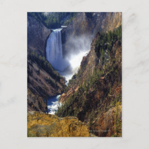 Carte Postale Lower Yellowstone Falls, Yellowstone National