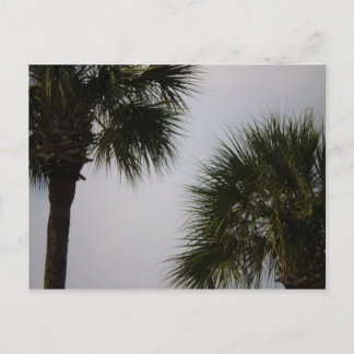 Carte Postale lpn 160