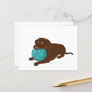 Carte Postale LR chocolate lab mâcher boule dessin animé