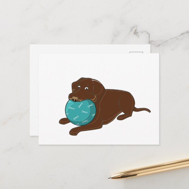 Carte Postale LR chocolate lab mâcher boule dessin animé (Devant/Arrière en situation)