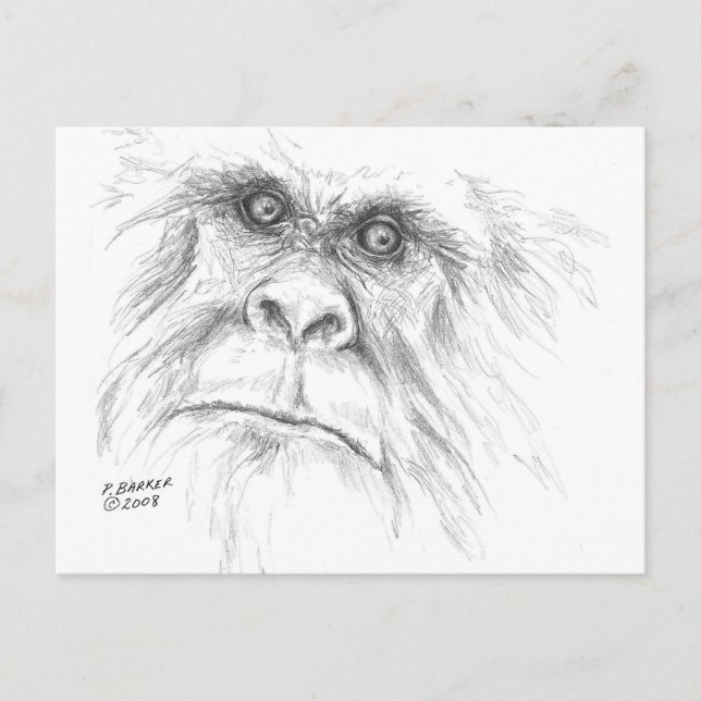 Carte Postale LTB Postcards (Devant)