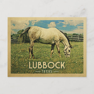 Carte Postale Lubbock Texas Postcard Horse Farm - Vintage voyage
