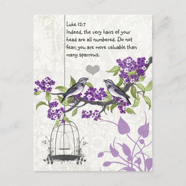 Carte Postale Luc 12:7 vous êtes plus précieux que beaucoup de m (Devant)