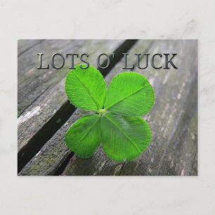 Carte Postale Lucky 4 feuilles trèfle