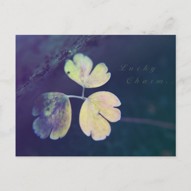 Carte postale Lucky Charm (Devant)