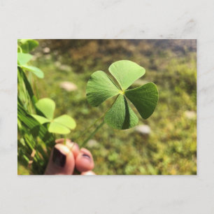 Carte Postale Lucky Day