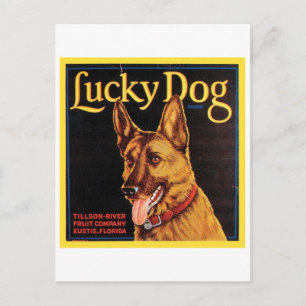 Carte Postale Lucky Dog Vintage Crate Étiquette