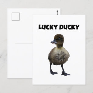Carte Postale Lucky Duck Funny Cute Duckling Oiseau Photo Art