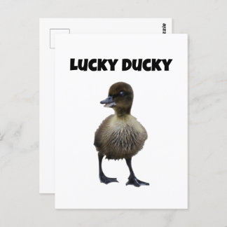 Carte Postale Lucky Duck Funny Cute Duckling Oiseau Photo Art