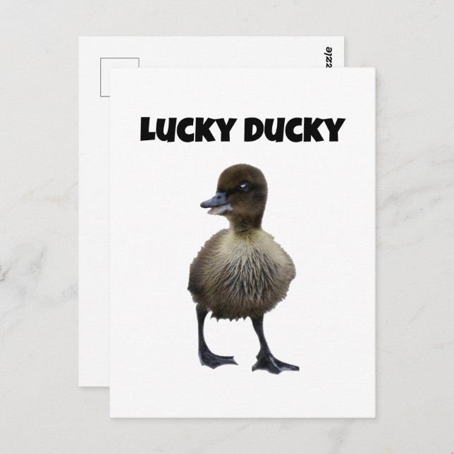 Carte Postale Lucky Duck Funny Cute Duckling Oiseau Photo Art (Devant / Derrière)