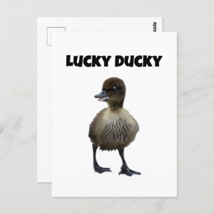 Carte Postale Lucky Duck Funny Duckling Bird Photo