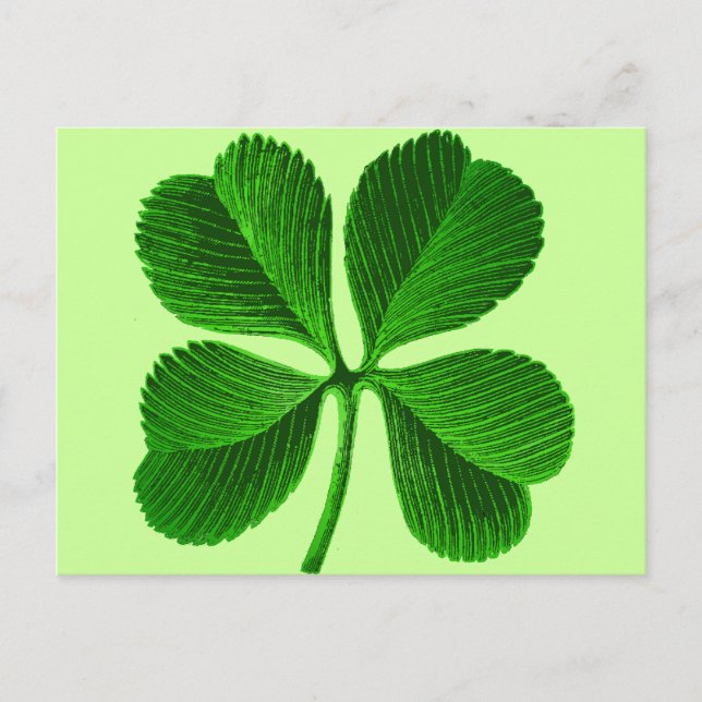 Carte Postale Lucky Four Leaf Clover (Devant)