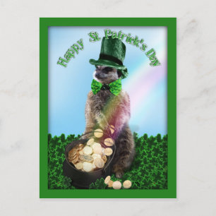 Carte Postale Lucky Meerkat avec Pot Of Gold St. Patrick's Day