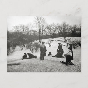 Carte Postale Luge dans Central Park, 1906