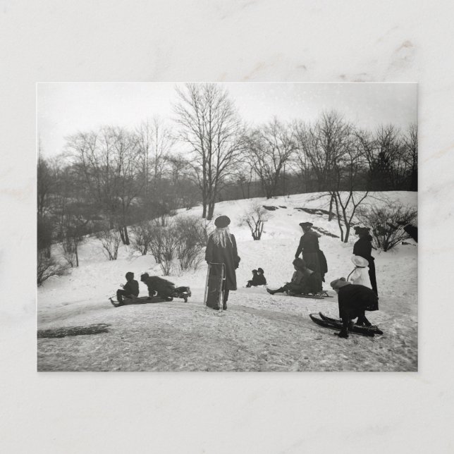 Carte Postale Luge dans Central Park, 1906 (Devant)
