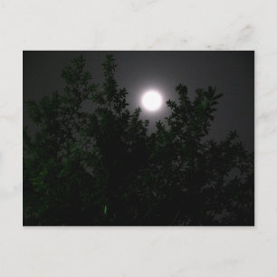 Carte Postale Lumière de la lune