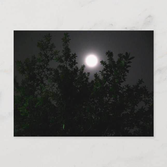 Carte Postale Lumière de la lune (Devant)