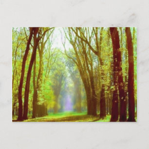 Carte Postale Lumière de ressort