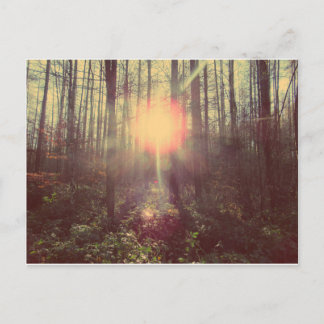 Carte Postale Lumière du ciel