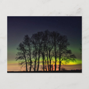 Carte Postale Lumière du Nord Manitoba Canada Grande Pointe