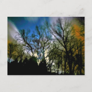 Carte Postale Lumière nocturne