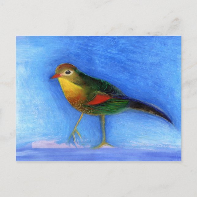 Carte Postale Lumière nocturne 2012 (Devant)